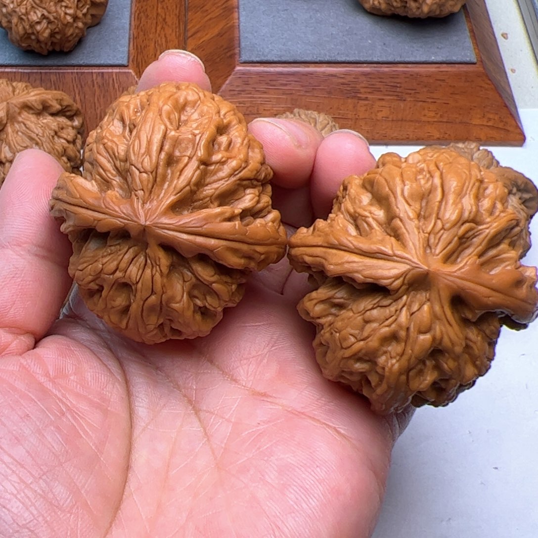 文玩核桃把件红锦鲤48红