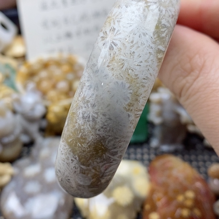 硅化珊瑚（珊瑚玉）颈饰未镶嵌55有瑕