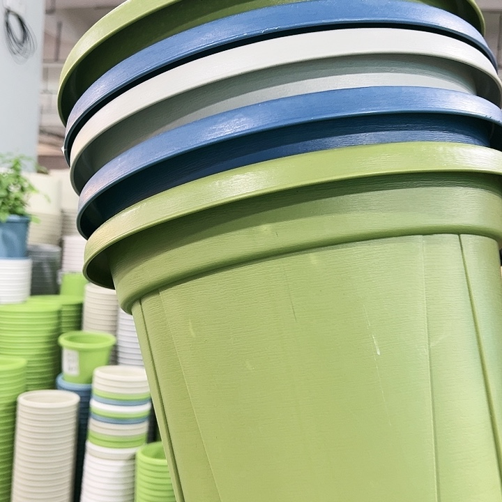 正品青山口32高28果绿色5个无托