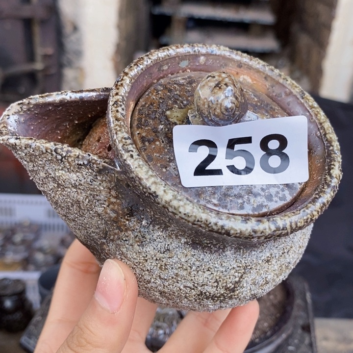 茶盏啦啦啦啦啦啦啦258