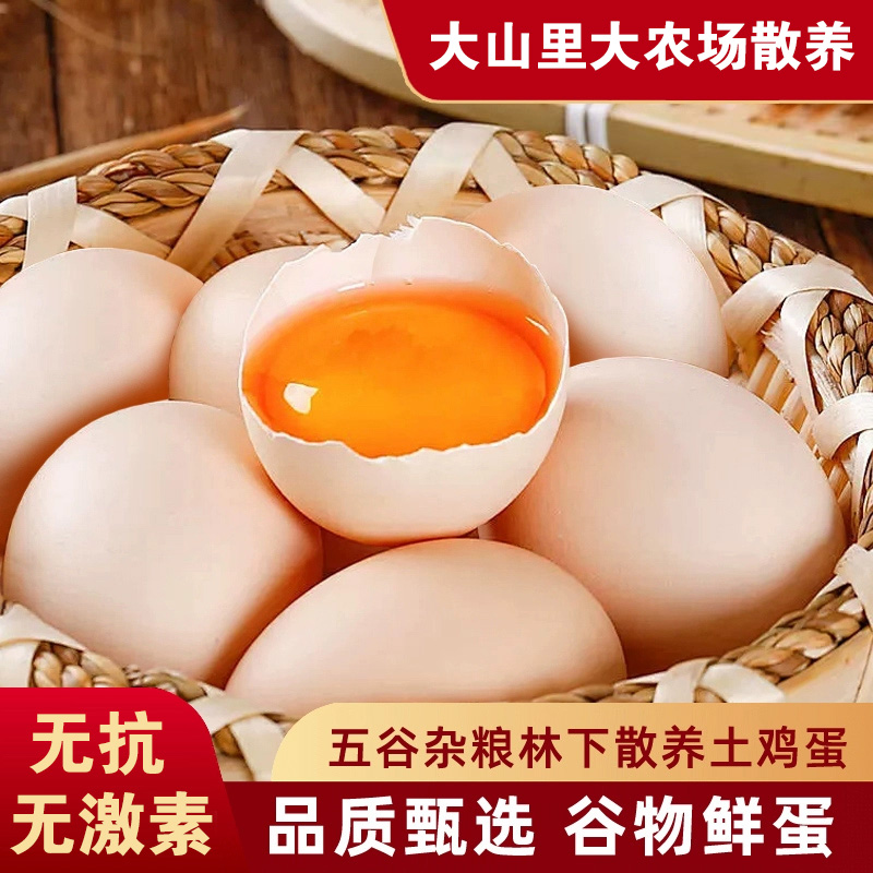 Y新鲜现捡现发农家谷物喂养土鸡蛋无抗无激素营养美味