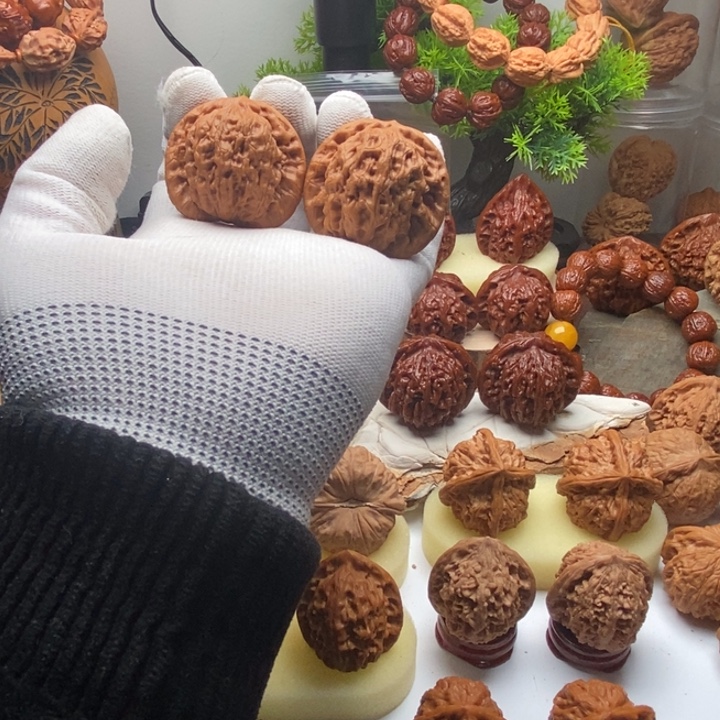 核桃金公子文玩核桃42