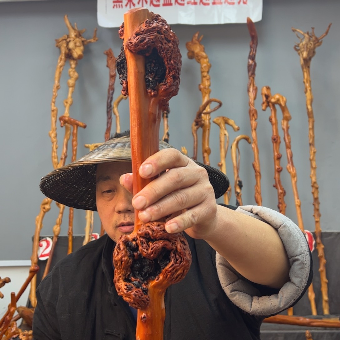 黑果木其他十***尖黑果木930