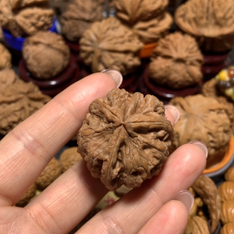 核桃飞****觉三棱单只一个