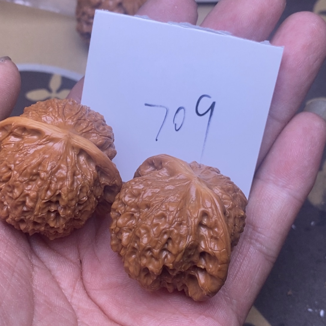 核桃血麒麟尺寸39
