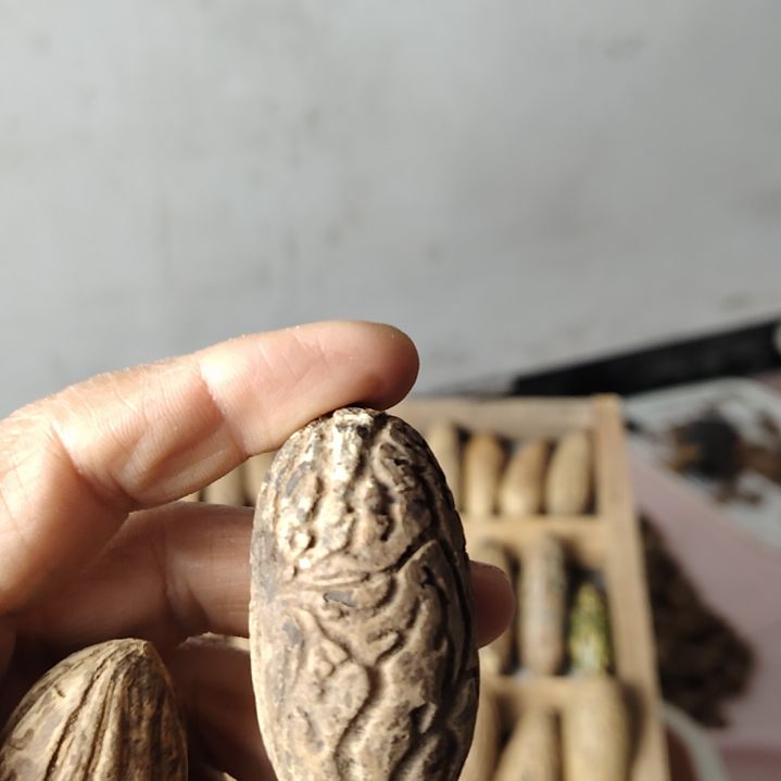 东***染木质类手把件千眼菩提果