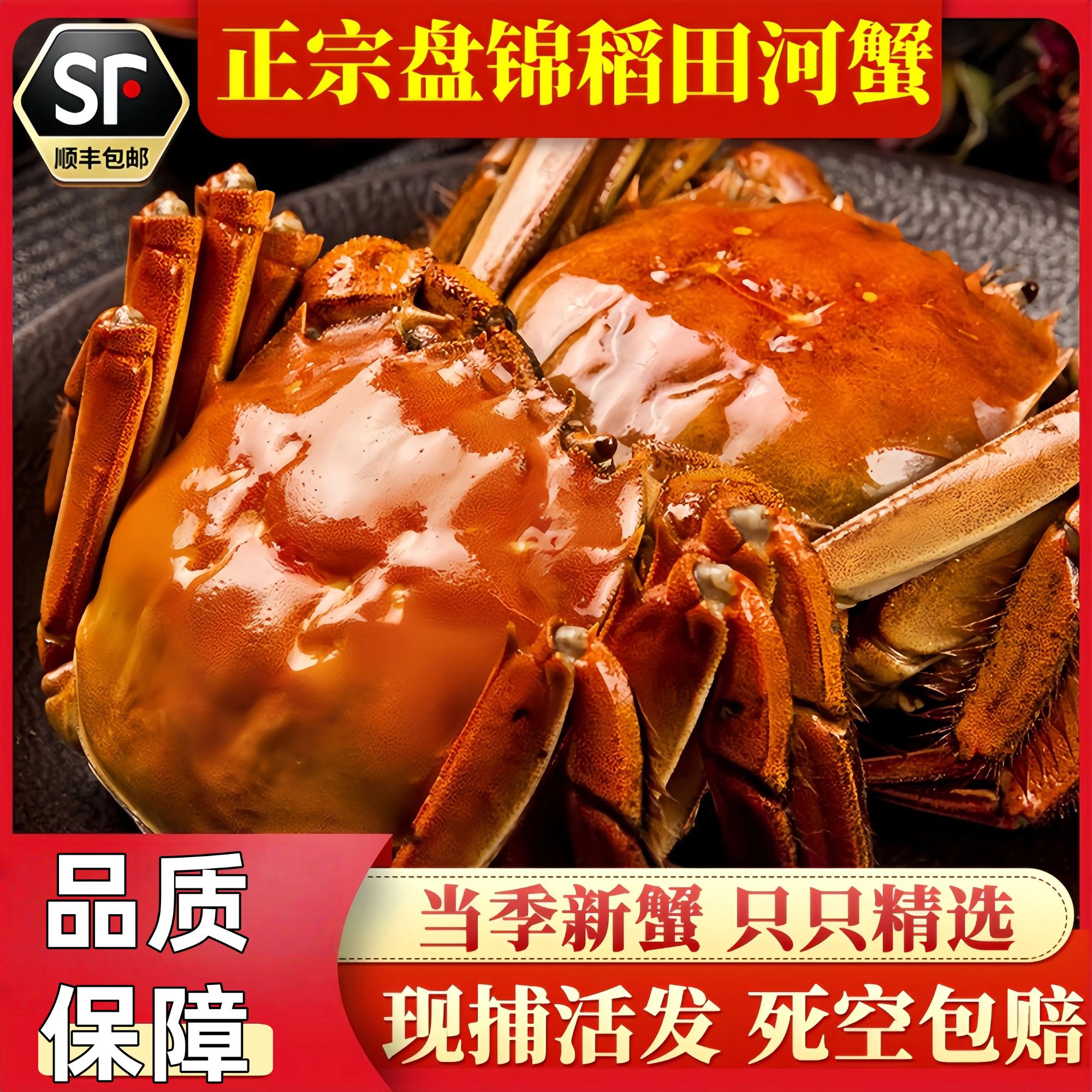 【活蟹】正宗盘锦河蟹母蟹1-0.8两*30只顺丰包邮