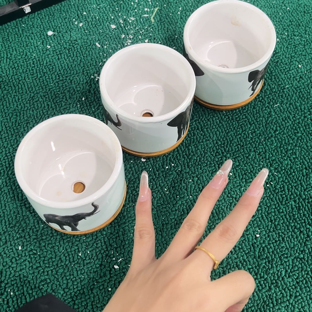 孤品给力炸炸炸炸炸