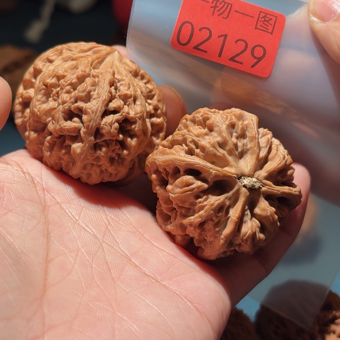 文玩核桃把件粗筋