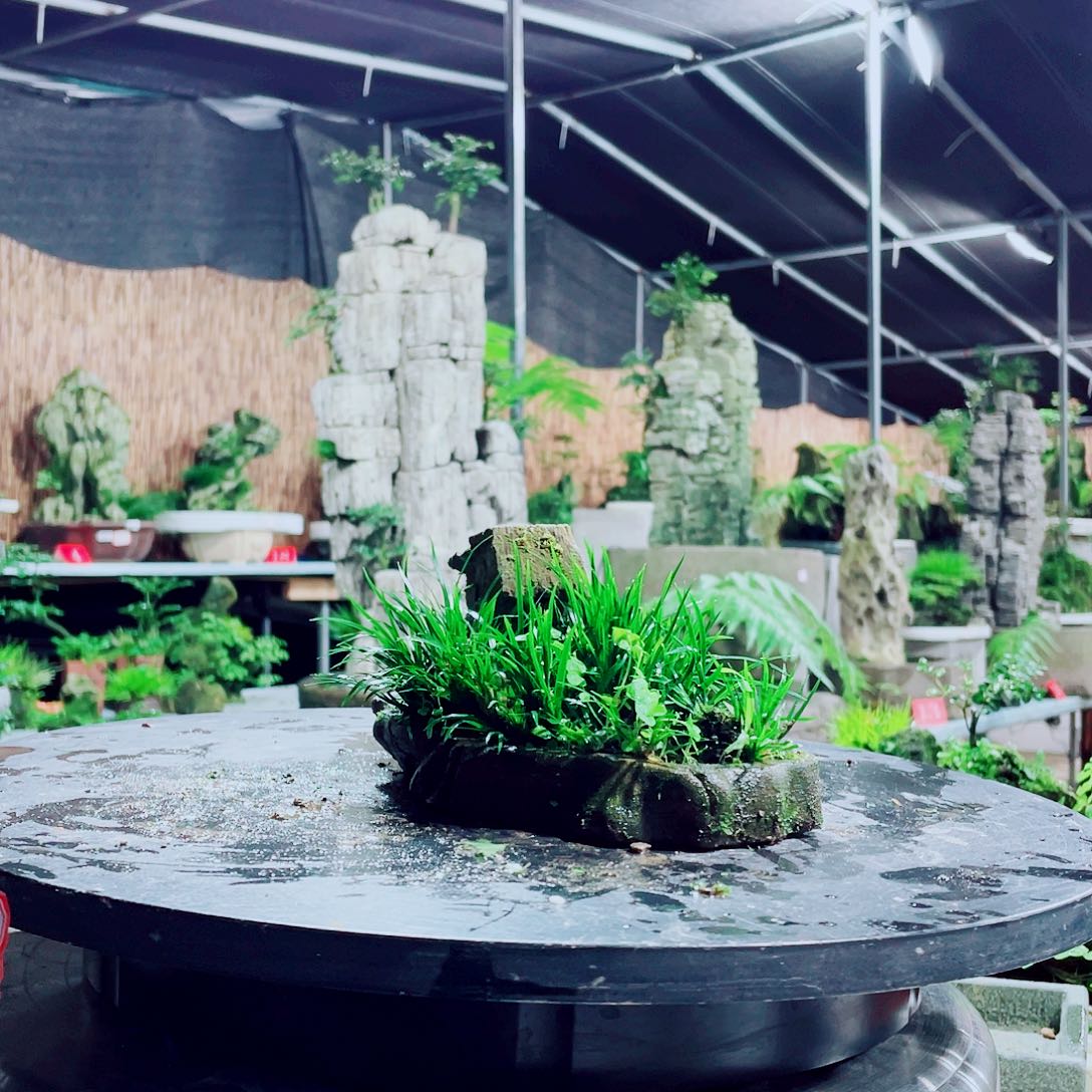 用***6无花朵新品上架后我还要买