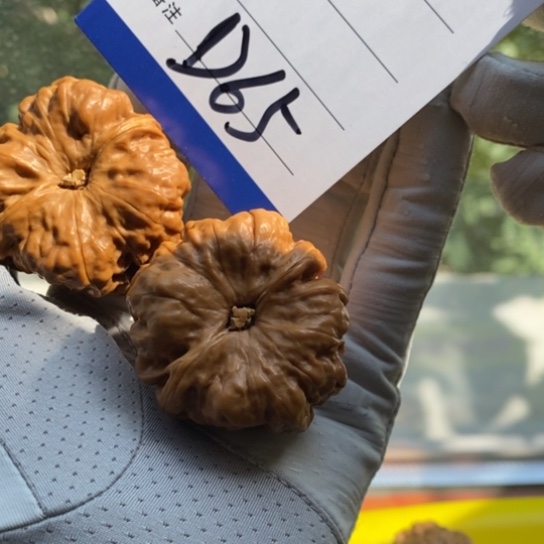 文玩核桃吊坠$40蛤蟆头