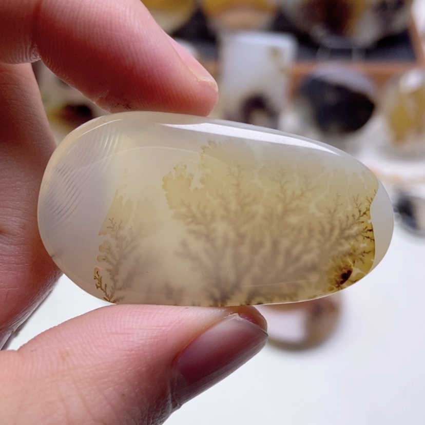 【闪购商品】玛瑙/玉髓颈饰未镶嵌