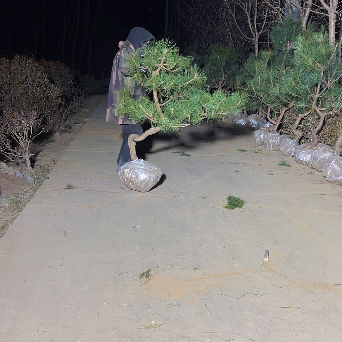 专****郭8888888888888888