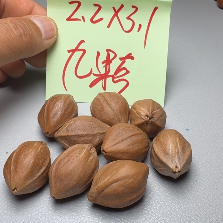 橄榄核手串?***.橄榄核6666