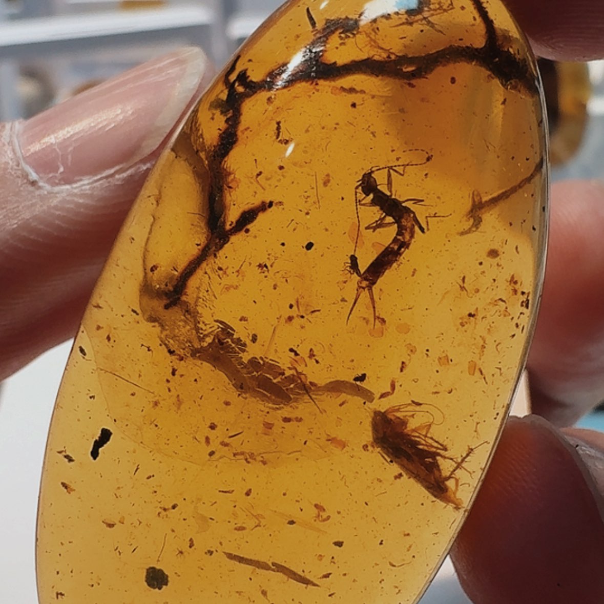 【闪购商品】琥珀裸石未镶嵌天然缅甸琥珀吊坠