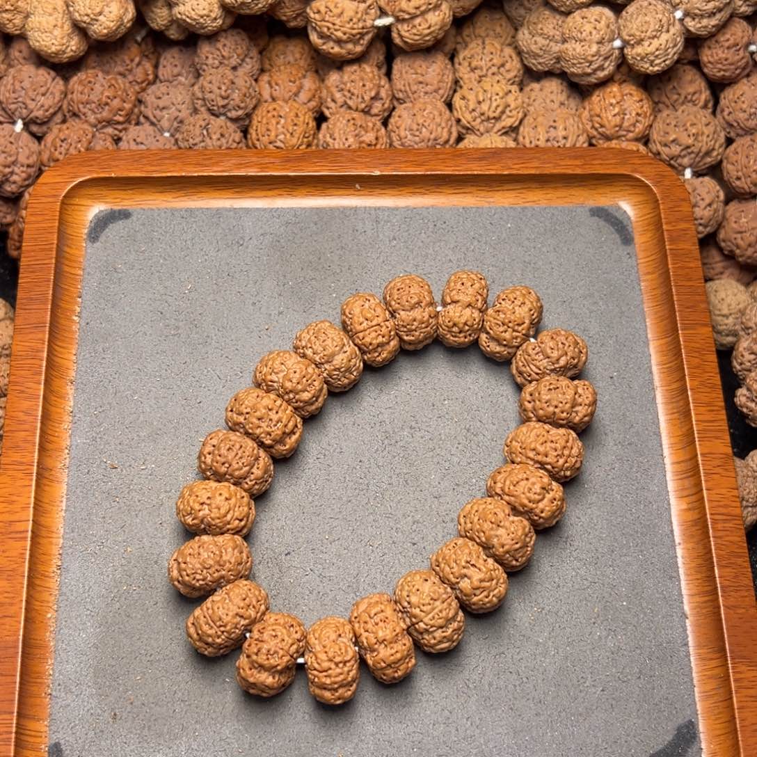 菩提18号尼泊尔大金刚20梅花蜂王夹板