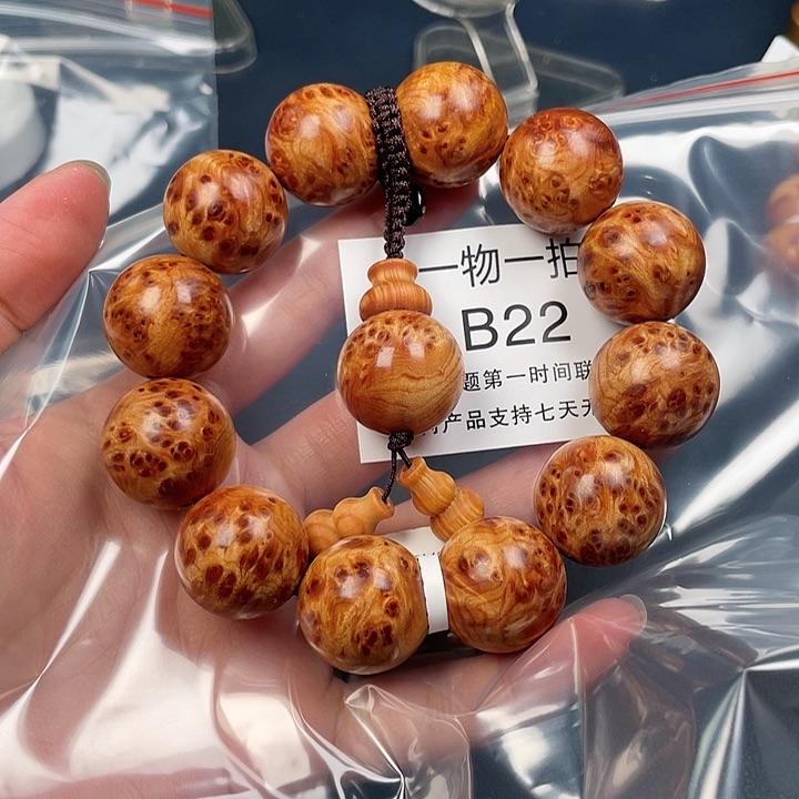 柏木（崖柏）其他?****_22