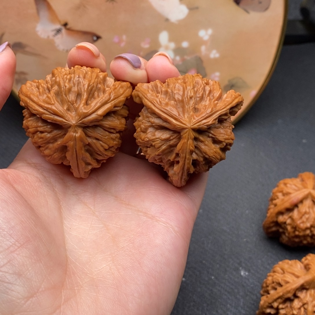 每***步白狮子11111111111