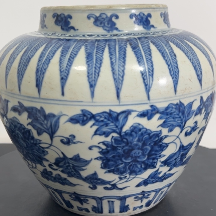 罐畬**梦一个青花花卉纹罐