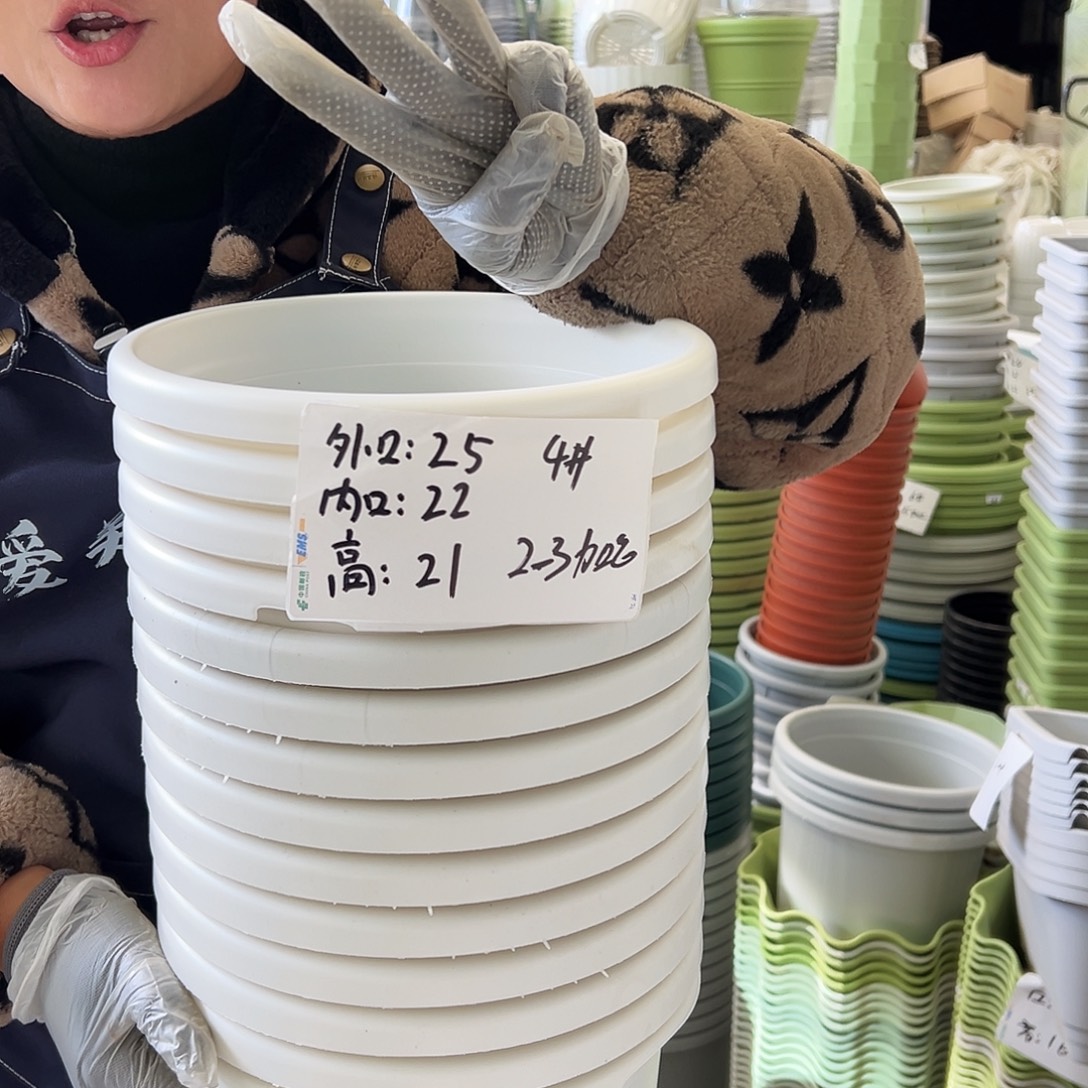 瑕疵四季盆4#白色6个无托