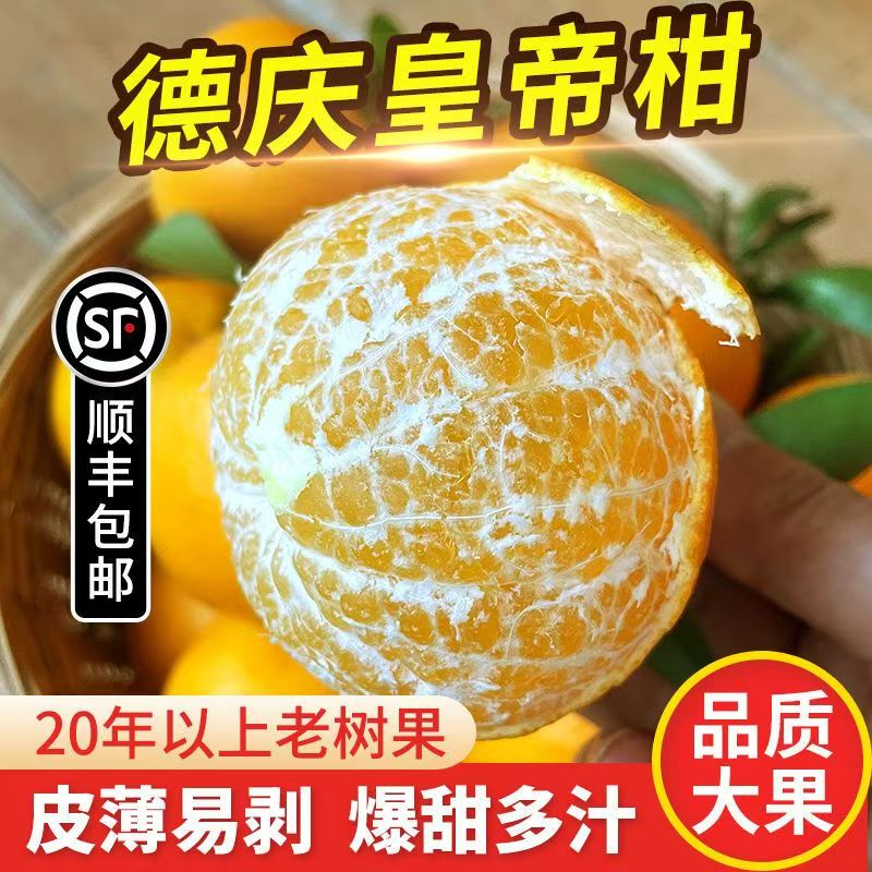 【九鼎直发】广东德庆 皇帝柑 纯甜无酸4.5Kg礼盒装