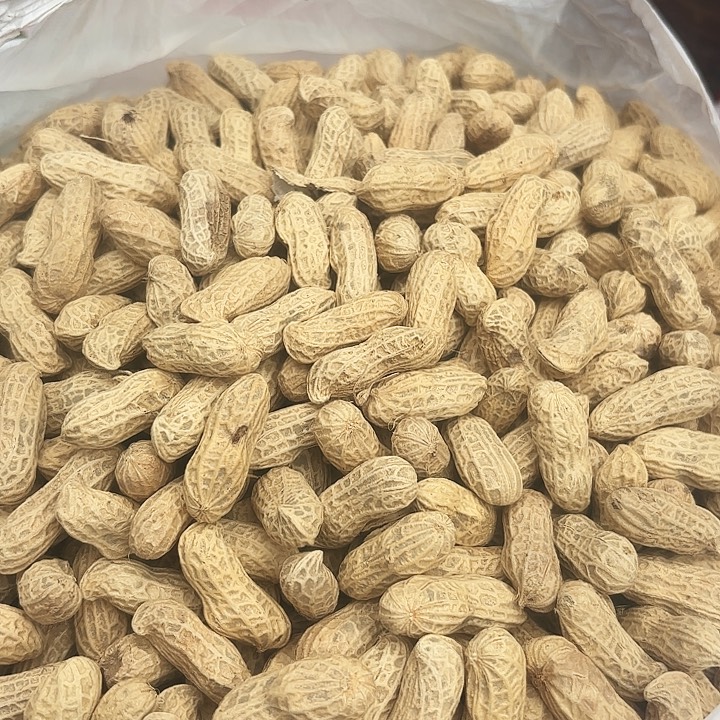 中国大陆炎陵高山花生5斤