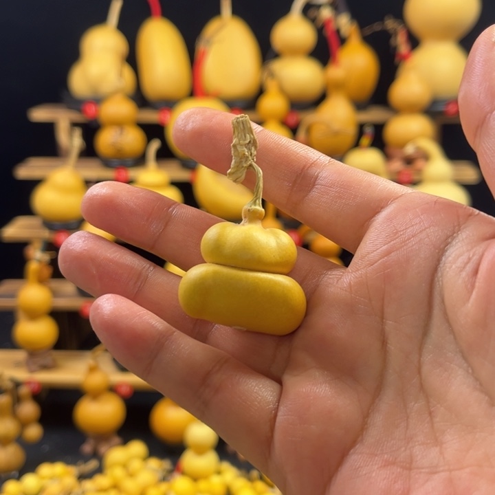 deo老弟专属钱袋55