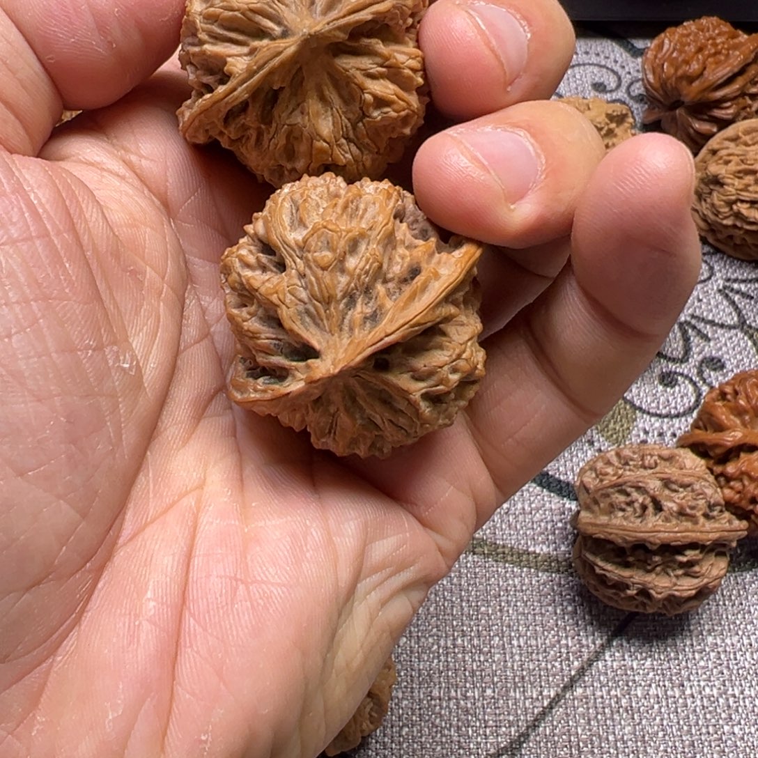 梦***生吊坠龙脊菩提39全品苹果园