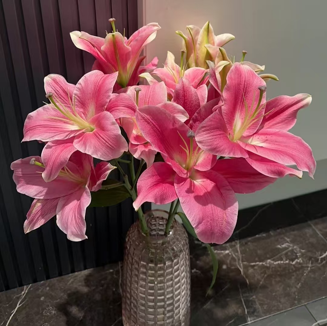 3枝护卫舰多头百合12-15个花苞 香水百合【两单顺丰或京东快递】
