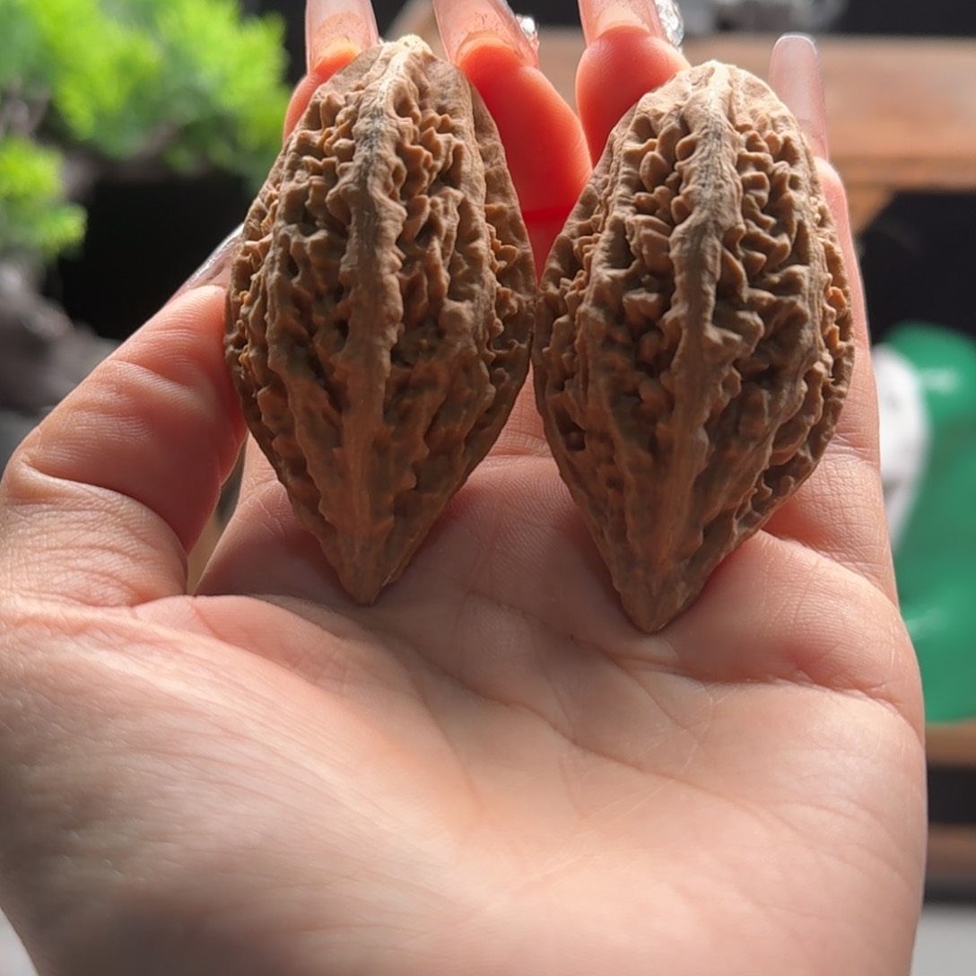 文玩核桃把件关东木子楸百核38