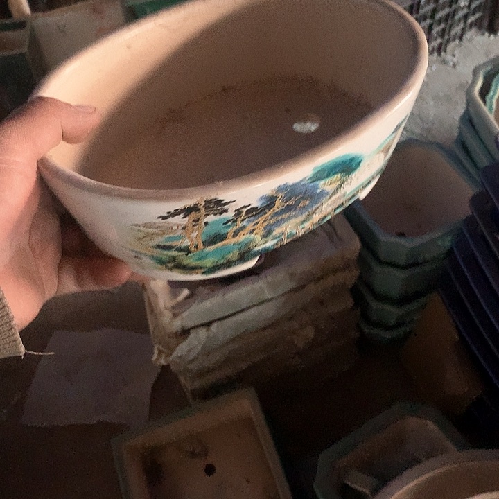 紫砂优秀青年科技学院教授