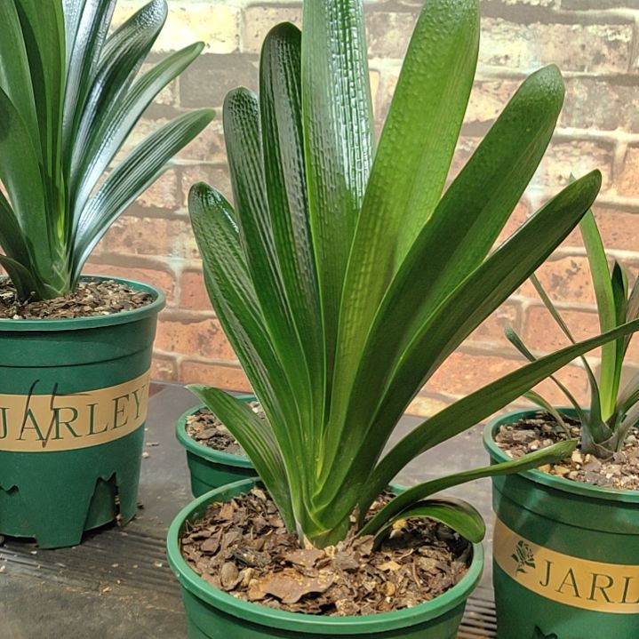 完全开放111111111111