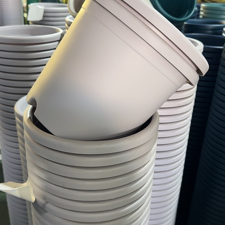 瑕疵4#淡紫色9个无托