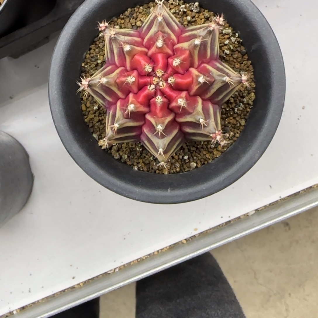 u***i1111111111111111111