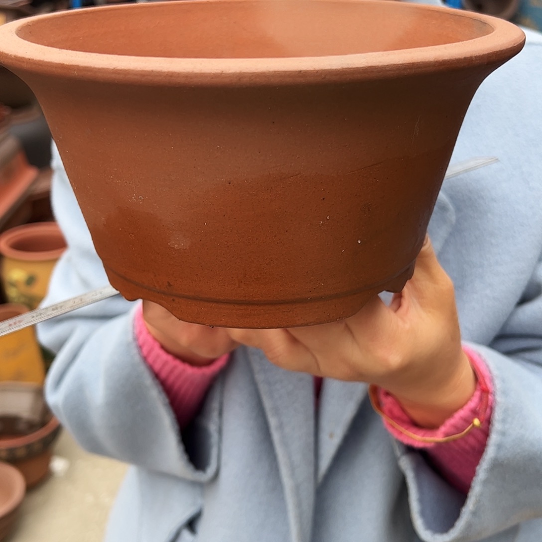 红泥碗盆中号一个花盆花盆花盆花盆