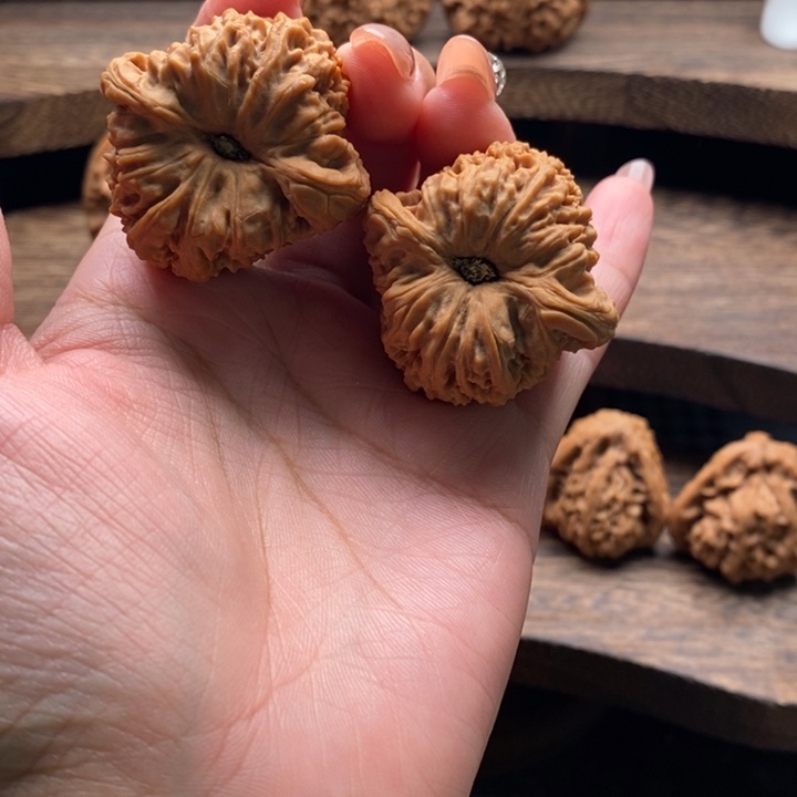 d***高木质7号拉丝凹底高炮南将