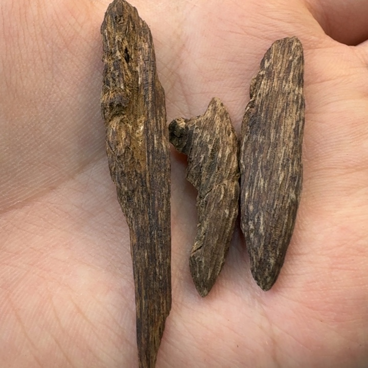 文莱九分沉树心油2克 