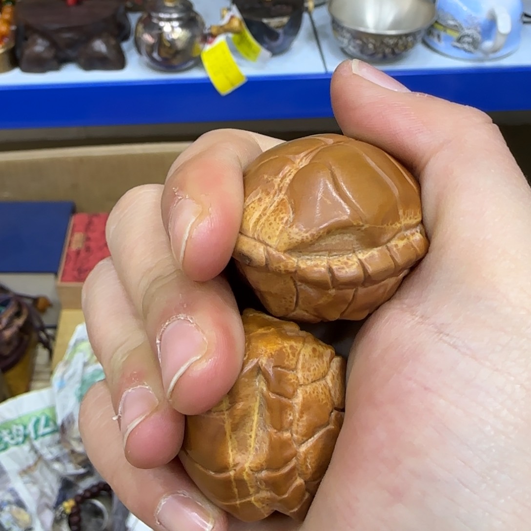 茶宠茶宠哈哈哈哈哈哈哈哈