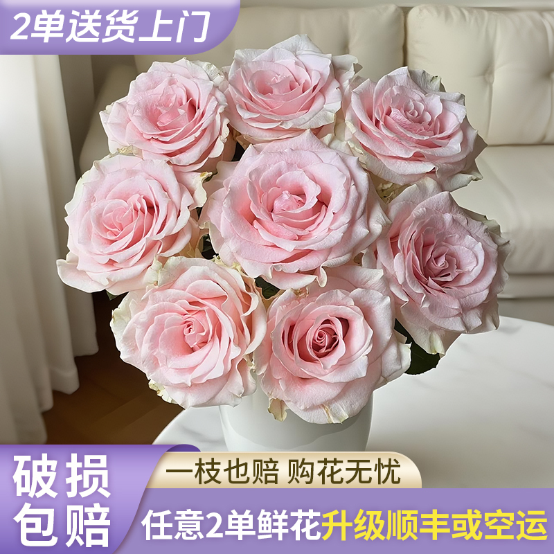 【源头优选】粉爱神玫瑰-任意2单鲜花包邮 发货后不支持退款