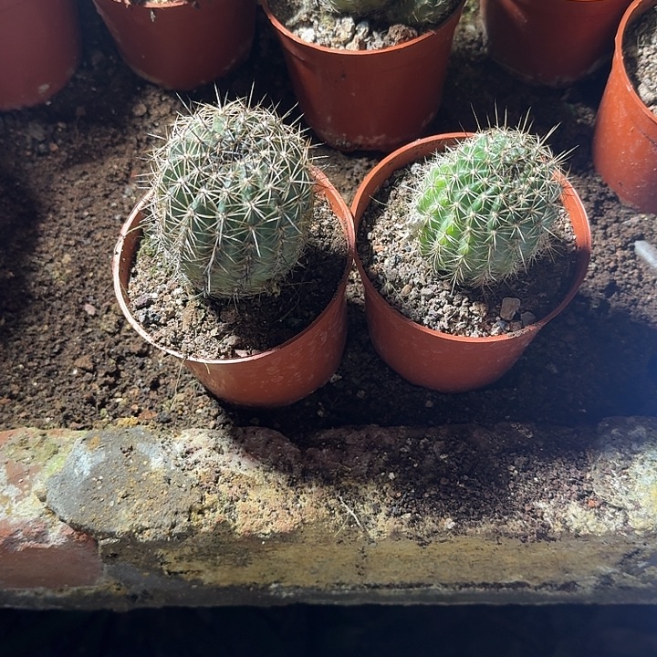 老***许无花朵丽花哈哈哈哈哈哈哈哈