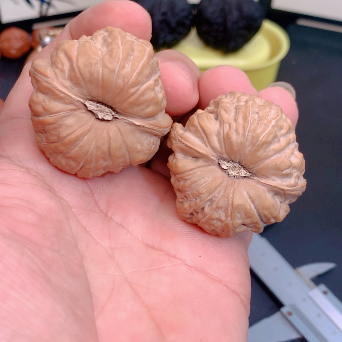 文玩核桃把件南瓜墩