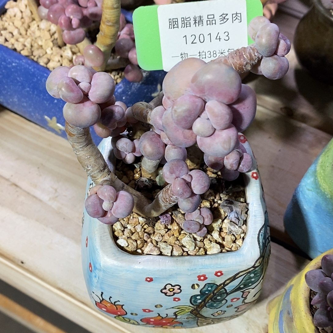 _****120143，嗯提图木舒克哦哦哦