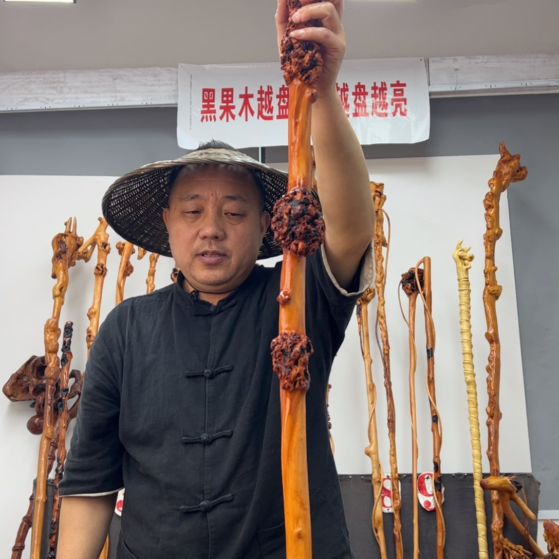 黑果木其他用****9黑果木641