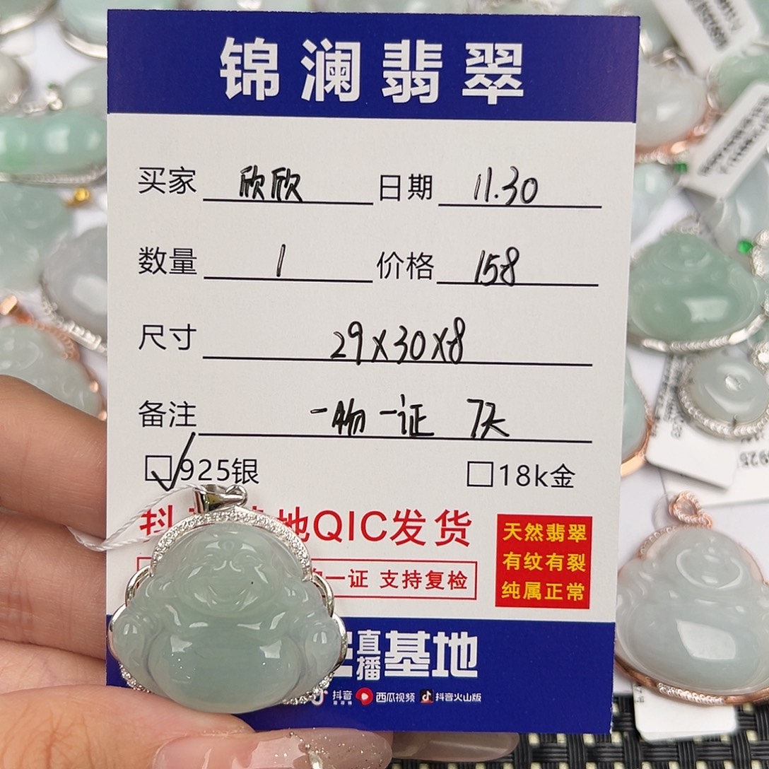 欣***欣翡翠银S925镶嵌颈饰