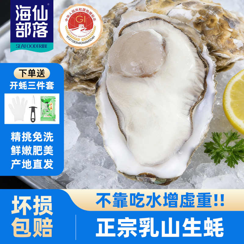 【乳山牡蛎】精洗乳山生蚝（A级）鲜活牡蛎新鲜海蛎子产地直发 5斤