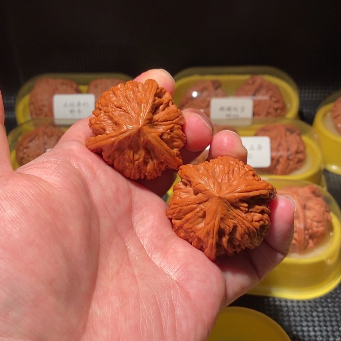 凯***哥42御龙粗筋正球奔精品对