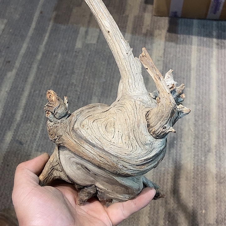 柏木太行山区柏柏柏