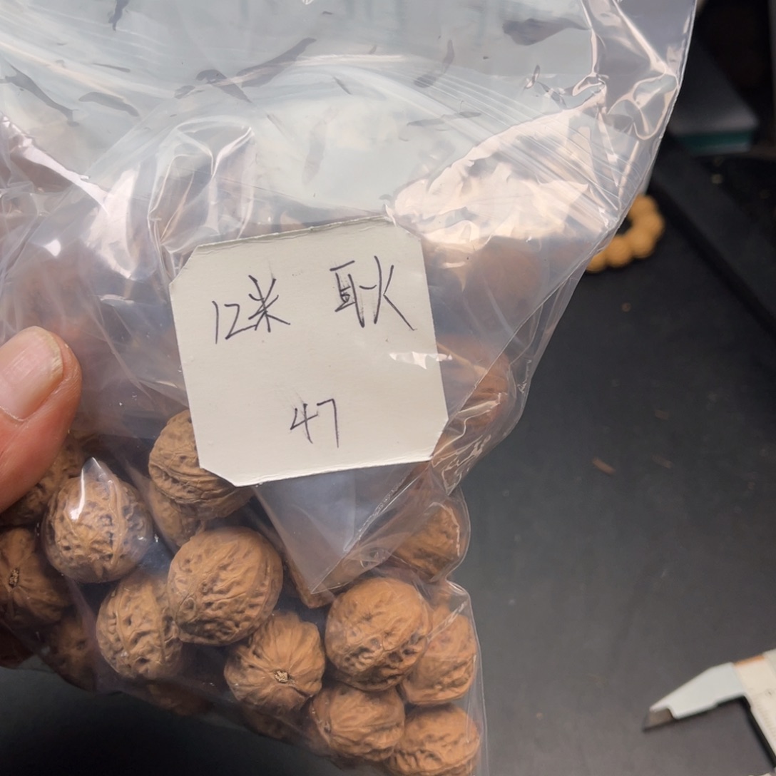 耿***野生着核的2包12米