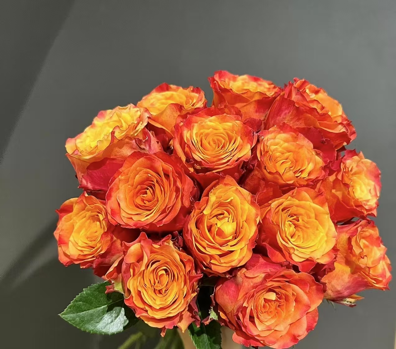 小艳【火焰】家庭同地址两单顺丰或京东送货上门+配草1扎