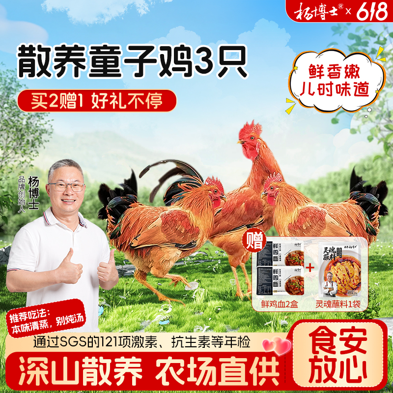 【食安放心童子鸡】杨博士深山散养土鸡农家正宗仔公鸡清蒸新鲜嫩商品图
